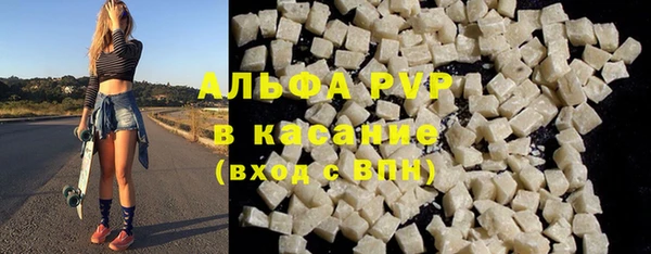 стаф Алзамай