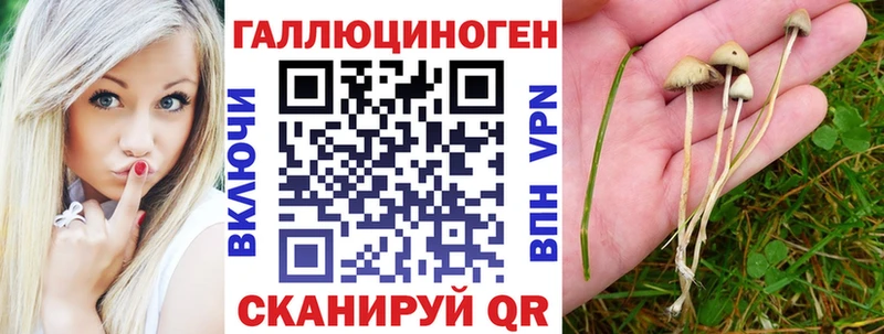 где купить наркотик  сайты даркнета телеграм  Галлюциногенные грибы прущие грибы  Губкин 